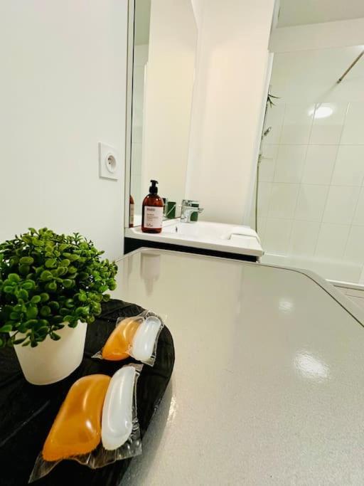 Appartement Le S - 6 Personnes Disneyland Et Paris Серри Экстерьер фото
